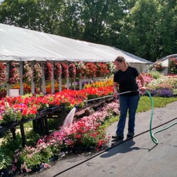 Schulte's Flowers