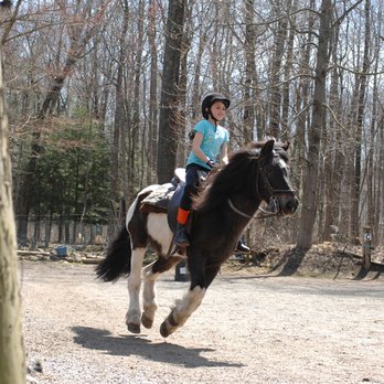 Blue Spruce Farm - Come for a Centered Riding Lesson in English or Western - Horseback Riding Near Me - Monroe, Connecticut