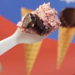 Handel's Homemade Ice Cream - Black Raspberry Chunk sample