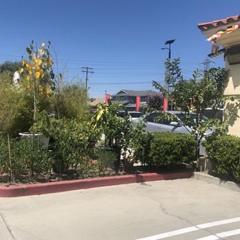 San Gabriel Valley Buddhistic Assn - They grow more vegetables and some fruit trees, they don't eat chilies but they grow for the people - Buddhist Temples Near Me - Rosemead, California San Gabriel Valley Buddhistic Assn - They grow more vegetables and some fruit trees, they don't eat chilies but they grow for the people - Buddhist Temples Near Me - Rosemead, California