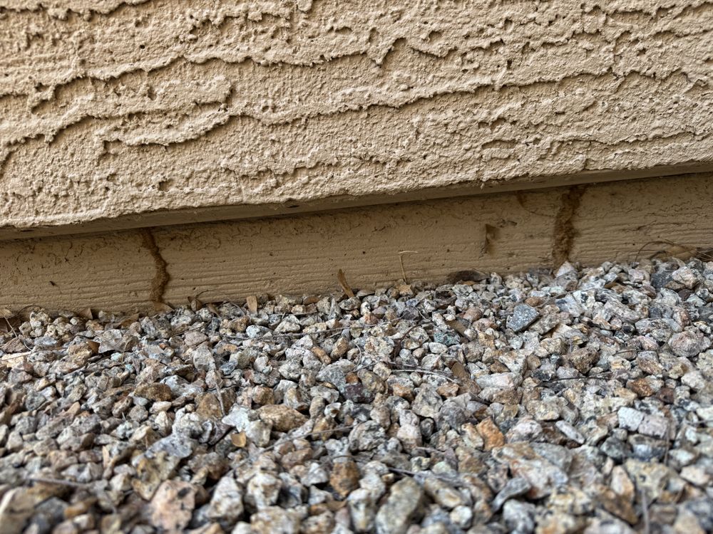 R&R Pest Defense - veterans service organization in Phoenix, AZ