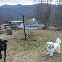 Hilltop Hideaway - Great views and pet friendly!