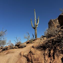 Mad Desert Trekking