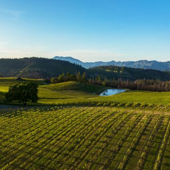 Pride Mountain Vineyards - Pride Mountain Vineyards Toward Mount St. Helena - Wineries Near Me - St. Helena, California