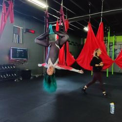 YouMeTrapeze - Decided to be Spider Gwen while being upside down