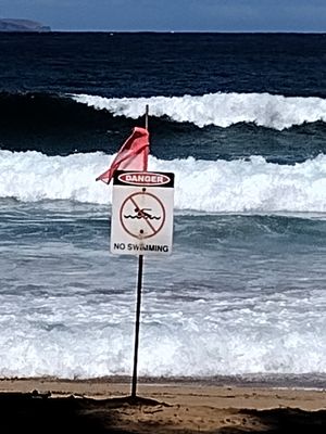 D.T. Fleming Beach Park by null