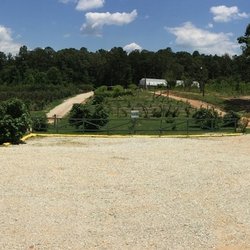 Holmestead Farms