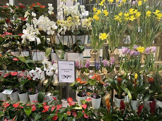 Whole Foods Market by null