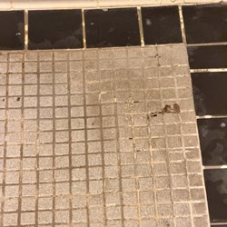Shower floors nasty as well as walls.