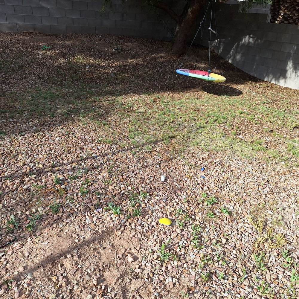Dcancio Landscape - He just weed whacked weeds and then sprayed stuff, said it would take 48 hrs to kill it (that was Sun. Pic taken Thurs). - Landscape Architects or Designers Near Me - Manor, Texas