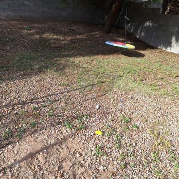 Dcancio Landscape - He just weed whacked weeds and then sprayed stuff, said it would take 48 hrs to kill it (that was Sun. Pic taken Thurs). - Landscape Architects or Designers Near Me - Manor, Texas