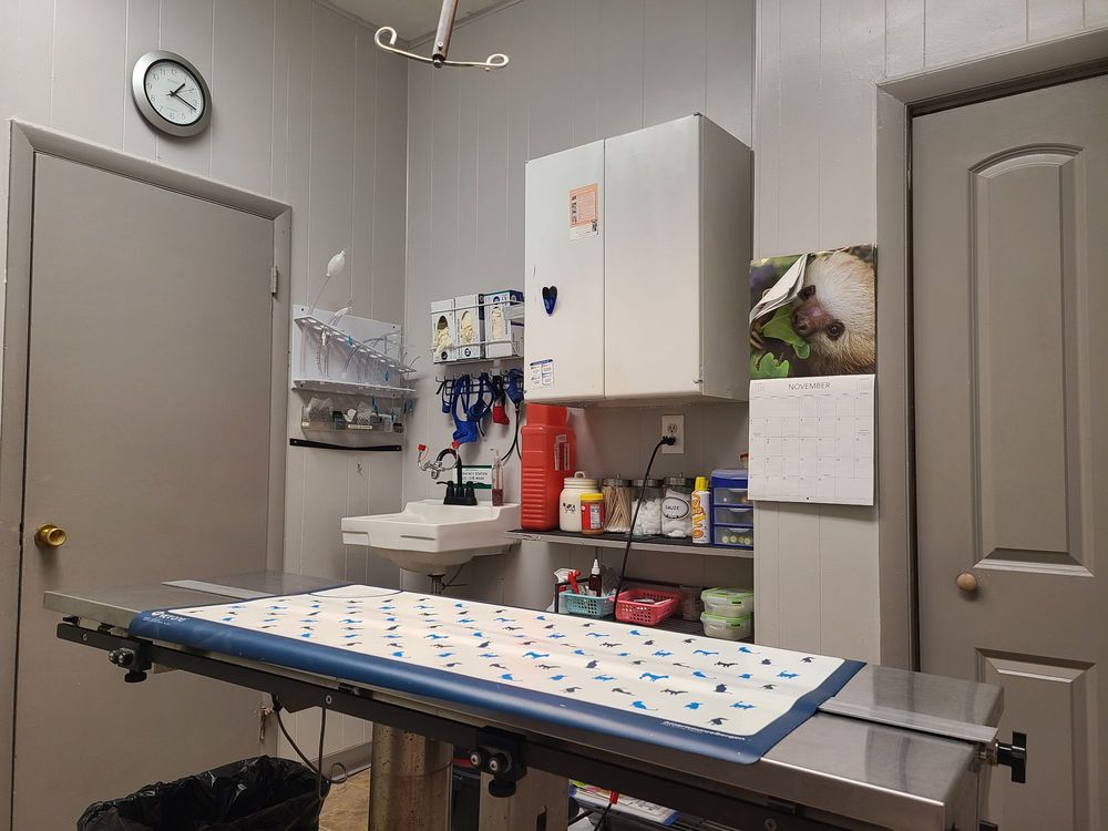 ASHTON ANIMAL CLINIC Updated September 2024 705 Main St, Ashton