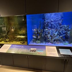 Annapolis Maritime Museum & Park
