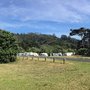 Photo of Muriwai Beach Motor Camp
