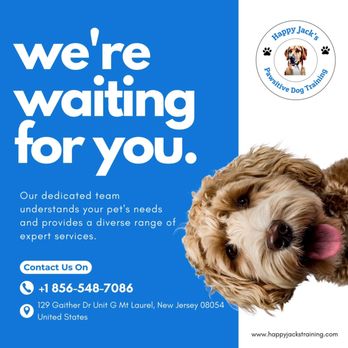 Happy Jack’s Pawsitive Dog Training - Pet Training Near Me - Mount Laurel, New Jersey Happy Jack’s Pawsitive Dog Training - Pet Training Near Me - Mount Laurel, New Jersey
