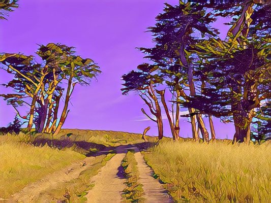 Tomales Point Trailhead by null
