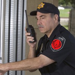 Phoenix Security Solutions