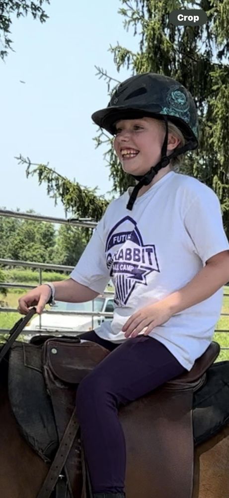 Heels Down Riding Academy - equestrian in Rogersville, MO