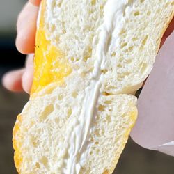 The Daily Bagel