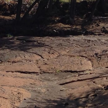 Puako Petroglyph Archeological Park - Parks Near Me - Waimea, Hawaii