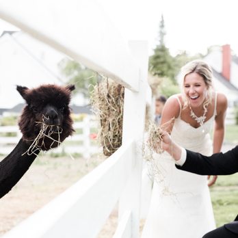 Five Bridge Inn - Photo: Massart Photography - Hotels Near Me - Rehoboth, Massachusetts Five Bridge Inn - Photo: Massart Photography - Hotels Near Me - Rehoboth, Massachusetts