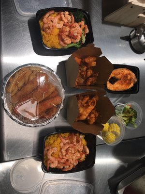 Angel Fish Market by null