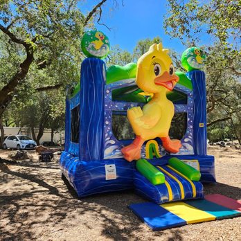 Sonoma Party Rentals - Party Supplies Near Me Sonoma Party Rentals - Party Supplies Near Me