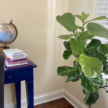Good Roots - Home Decor Near Me - Glen Ellyn, Illinois