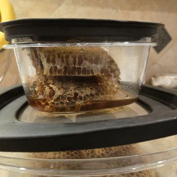 All About Bees - I was able to keep some honey - Pest Control Near Me