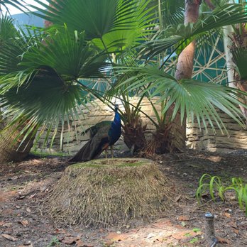 Audubon Zoo - Aquariums Near Me - New Orleans, Louisiana