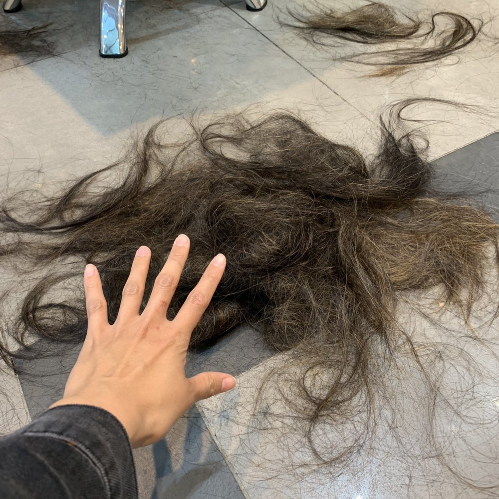 Alpha D Hair Salon - We only took about 3 inches in length off. Everything else was just lots of hair on the head. - Hair Salons Near Me - Vancouver, British Columbia Alpha D Hair Salon - We only took about 3 inches in length off. Everything else was just lots of hair on the head. - Hair Salons Near Me - Vancouver, British Columbia