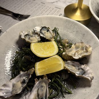 The Pressroom - oysters these were good and fresh! - Cocktail Bars Near Me - San Jose, California The Pressroom - oysters these were good and fresh! - Cocktail Bars Near Me - San Jose, California