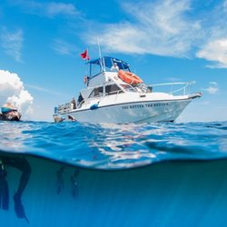 Walker's Dive Charters