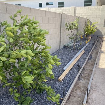 Bethel concrete work & landscape - New trees - Masonry/Concrete Near Me - Laveen , Arizona