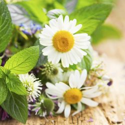True Better You - Simone Claridge- Specialist in Detox and Regeneration naturally