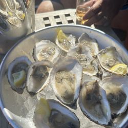 Founders Oyster Farm