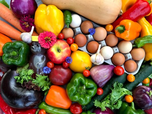 Glory Garden | Online Farmers Market by null