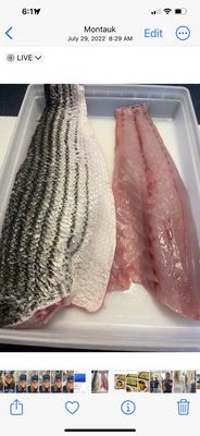 Bennett Shellfish by null