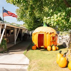 Koepsel's Farm Market - Koepsel's Farm Market Pumpkin display