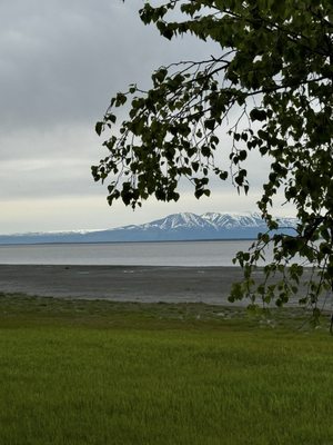 Alaska Pablo's Bicycle Rentals& Tours by null