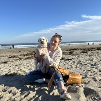 Make Your Dog Happy - Pic of me and the pup getting some socialization at the beach! - Pet Training Near Me - Manchester, New Hampshire Make Your Dog Happy - Pic of me and the pup getting some socialization at the beach! - Pet Training Near Me - Manchester, New Hampshire