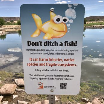 Sullivan Virgin River Soccer Park - Don't ditch a fish! @ Sullivan Virgin River Soccer Park - 5/2/17 - Parks Near Me - Washington, Utah Sullivan Virgin River Soccer Park - Don't ditch a fish! @ Sullivan Virgin River Soccer Park - 5/2/17 - Parks Near Me - Washington, Utah