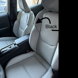 Original Light Gray. I indicated the black trim I would like.