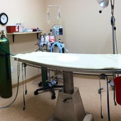 The Beacon Veterinary Associates - Surgical suite