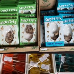 Beef Jerky Experience - Beef Jerky Outlet Edible Bugs