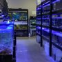 Photo of Aquarium Outfitters