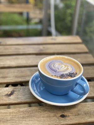 Remi Flower & Coffee by null