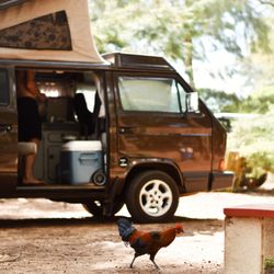 Kauai Camper Rental