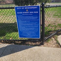 Alice Street Dog Run
