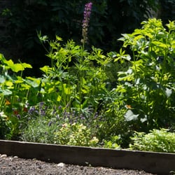Licht-Garten - Teilansicht